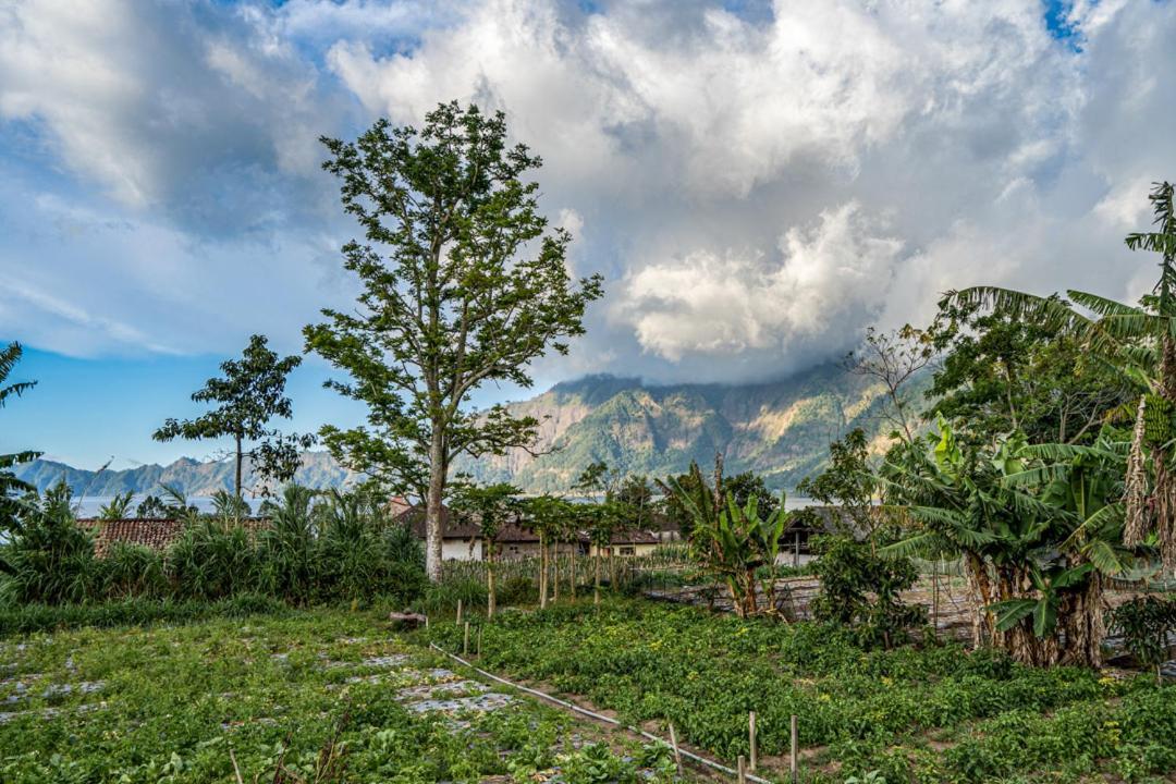 Pondok Manoka 金塔马尼 外观 照片